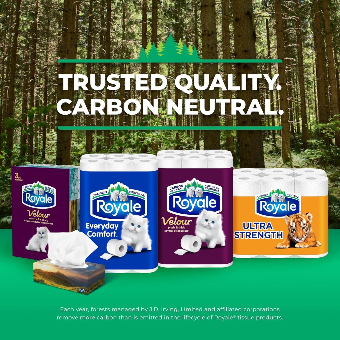 Royale Tiger Strong Paper Towel, 3 Double Equal 6 Rolls, 98 Half Sheets per Roll, White