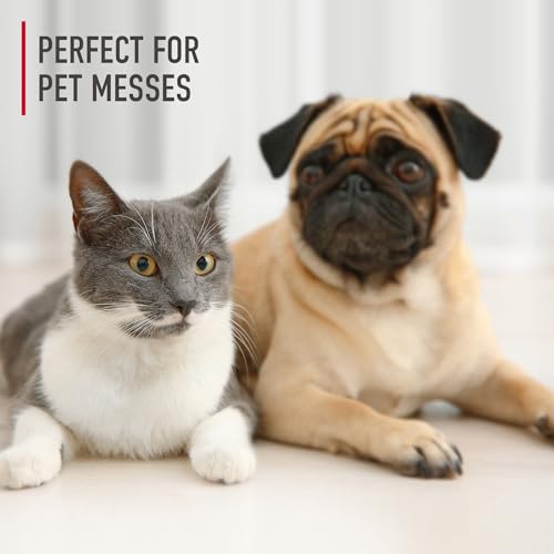 Hoover Carpet Cleaner Solution, Enzymatic Pet Stain Remover, 1.89 L