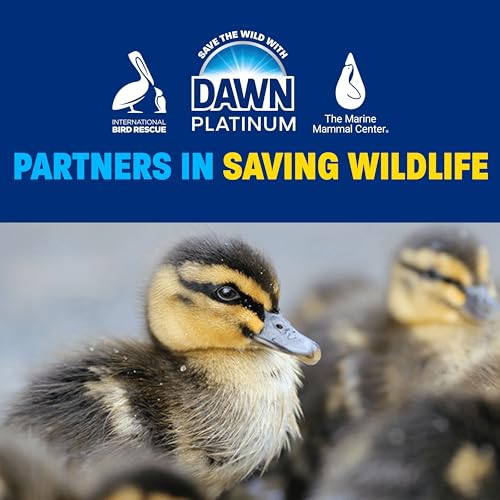 Dawn Platinum Refill Jug Dish Soap Fresh Rain, 2.01L