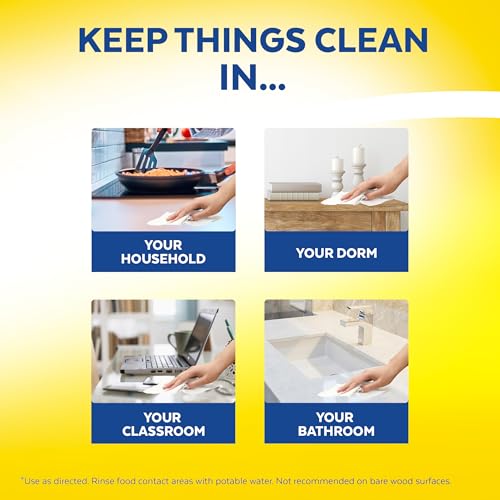Lysol Thick Strong Disinfecting Wipes, 6 X 75 ct