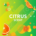 Scrubbing Bubbles Toilet Bowl Cleaner, Fresh Brush Toilet Bowl Cleaning Flushable Refills, Citrus Scent, 28 Refills Total