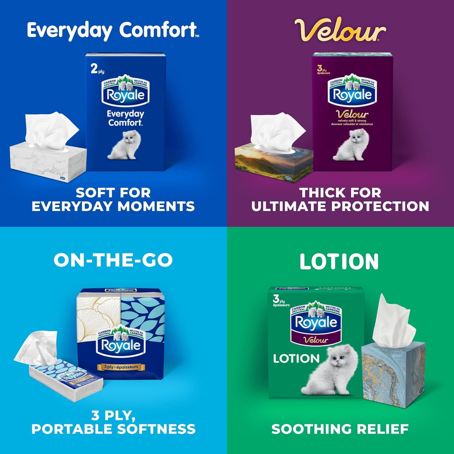 Royale Velour 3 Ply Facial Tissue, 24 Tissue Boxes, 72 Tissues per Box