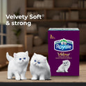 Royale Velour 3 Ply Facial Tissue, 24 Tissue Boxes, 72 Tissues per Box