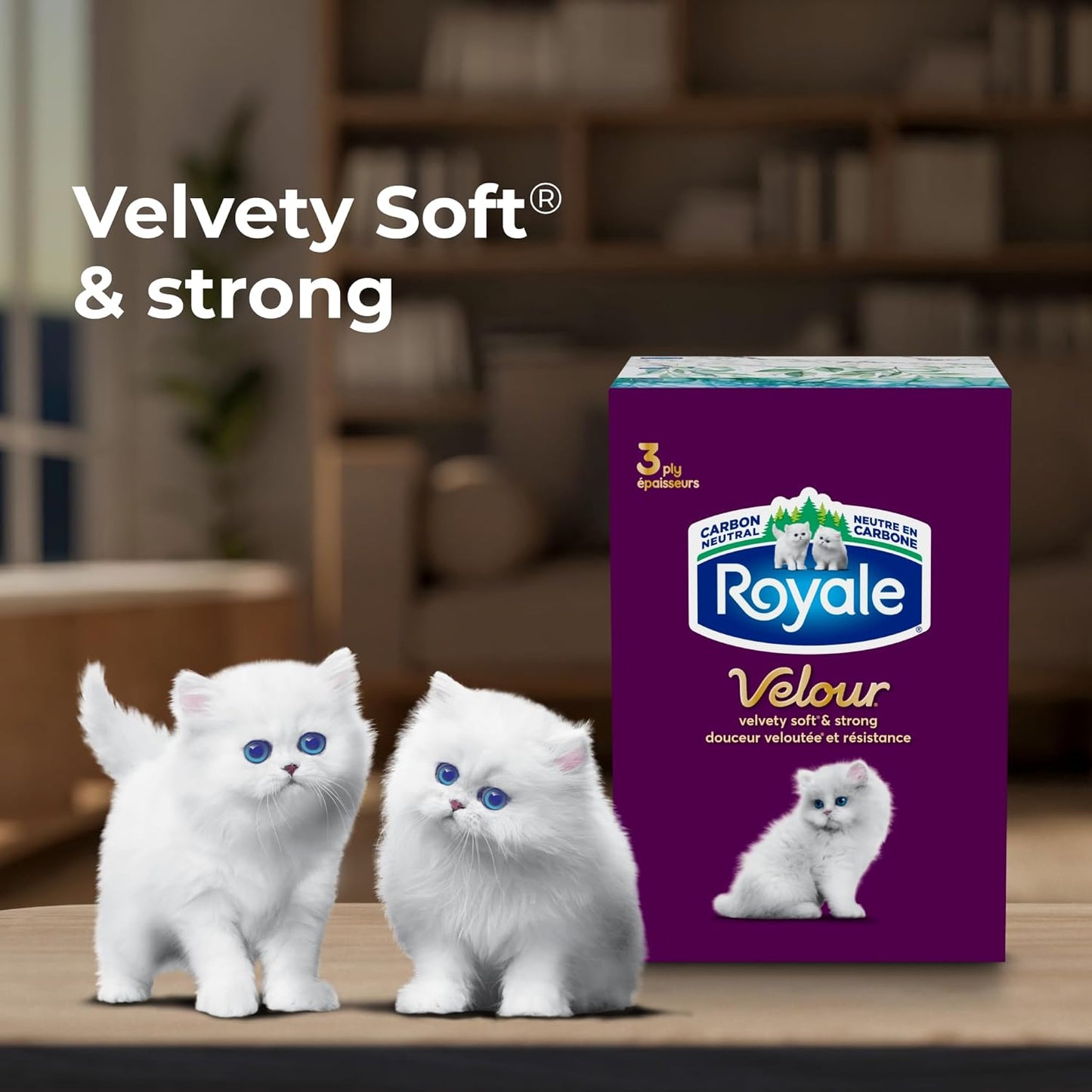 Royale Velour 3 Ply Facial Tissue, 24 Tissue Boxes, 72 Tissues per Box