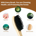 Virgin Forest Bamboo Toothbrush 10pk, Biodegradable & Compostable, Soft Bristles, BPA-Free Eco-Friendly, Family Pack (Adults & Kids), Zero Waste Oral Care
