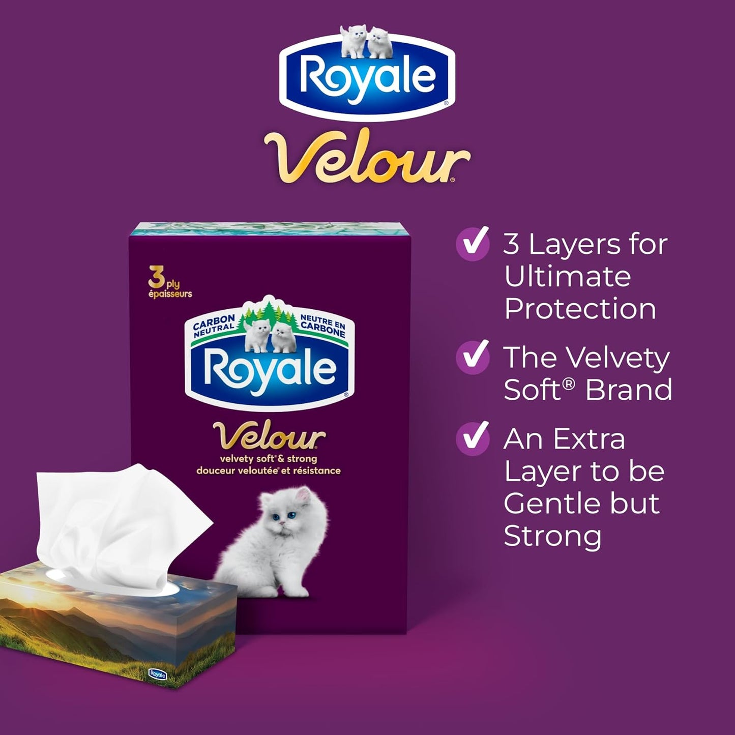 Royale Velour 3 Ply Facial Tissue, 24 Tissue Boxes, 72 Tissues per Box