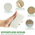 AIRNEX 12 Pack Natural Sponges for Dishes - Biodegradable Sponges for Kitchen - Plant Based Cellulose & Coconut Natural Dish Sponge - Non Toxic Eco Friendly Sponges, Non Scratch Kitchen Scrubber