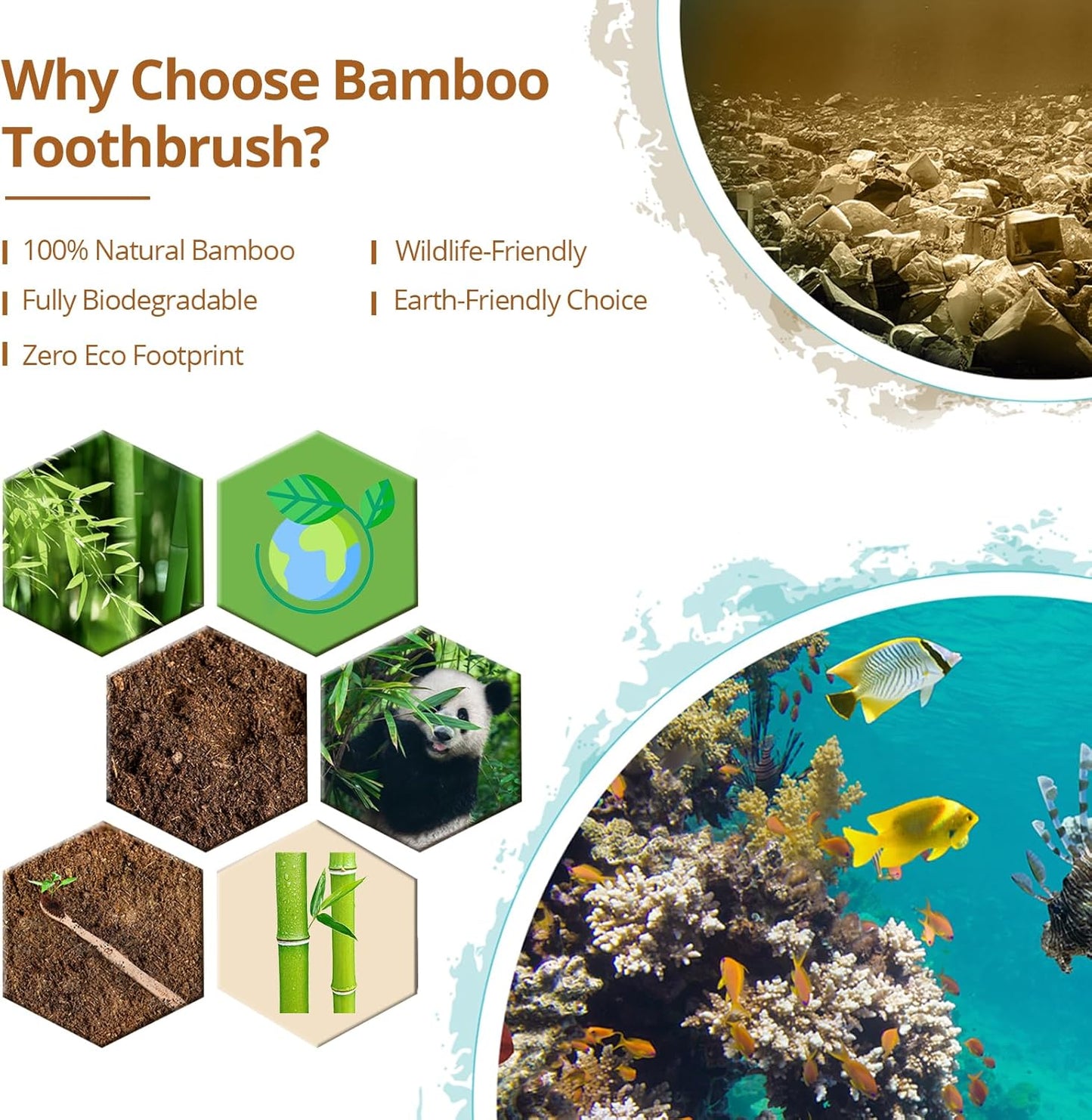 Virgin Forest Bamboo Toothbrush 10pk, Biodegradable & Compostable, Soft Bristles, BPA-Free Eco-Friendly, Family Pack (Adults & Kids), Zero Waste Oral Care