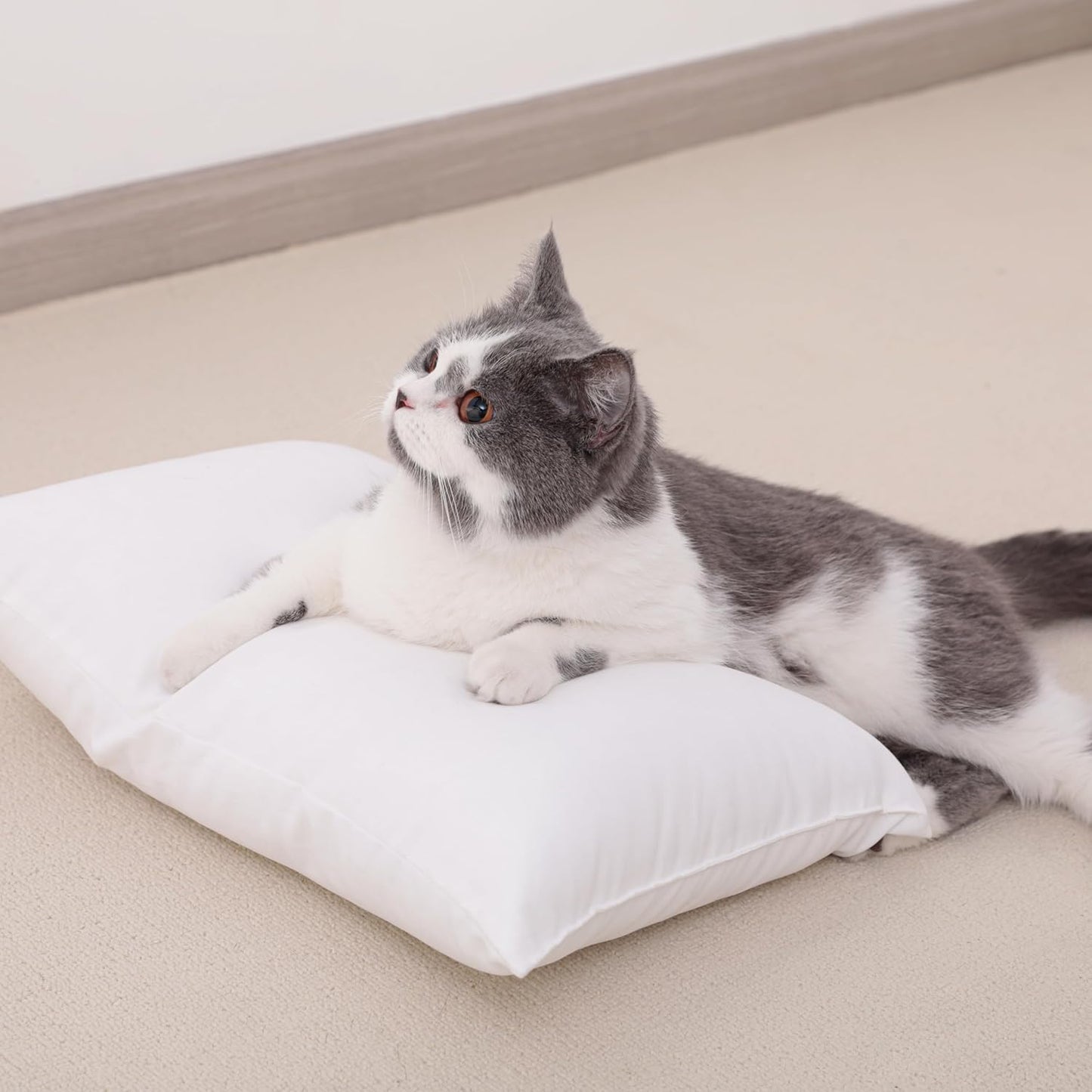 NTBAY 2 Pack Tiny Pillows, 11"x7" Microfiber Mini Pillows for Travel, Pets, Soft Machine Washable Small Pillows for Neck, Wrist, Lumbar and Knee, Dark Grey