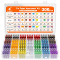 JOREST 300Pcs Car Fuses Assortment Kit,160 Mini Blade Fuses Automotive + 90 Standard Auto Fuses + 50 Micro Fuse + Fuse Puller – for Car/RV/Truck/Motorcycle(2Amp 3A 5A 7.5A 10A 15A 20A 25A 30A 35A 40A)