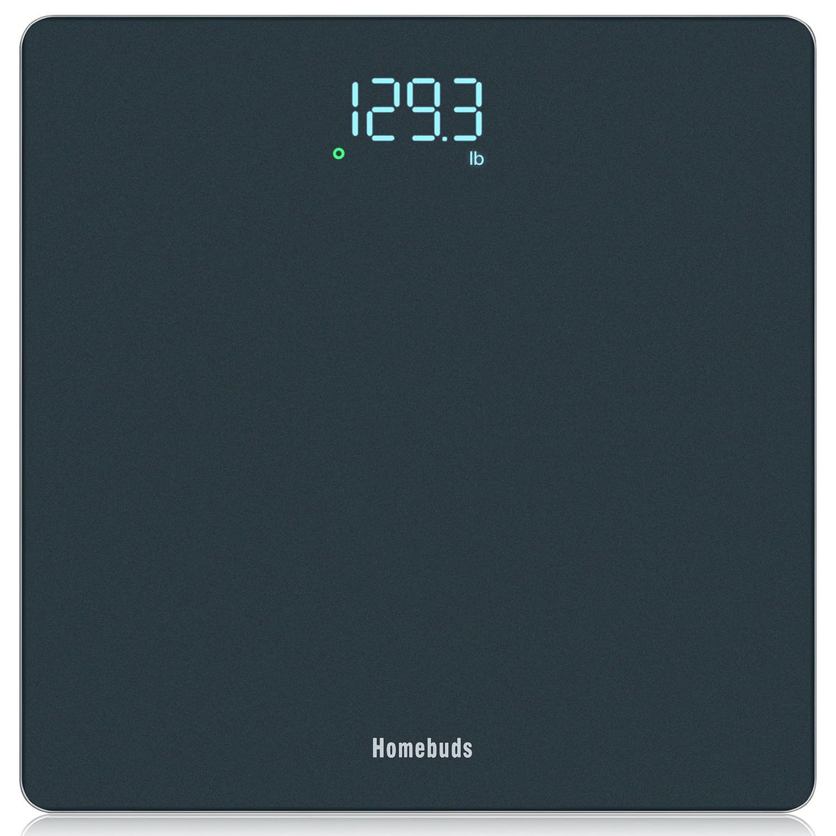 Digital Weight Scale, High Precision in 0.1lb