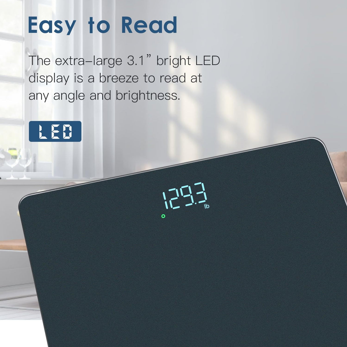 Digital Weight Scale, High Precision in 0.1lb